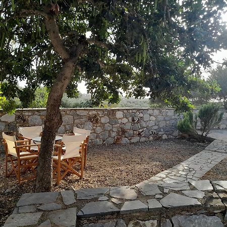 شقة The Two Carob Trees, Traditional Stonehouse, Nikandri, Pirgos Diros Lefkias المظهر الخارجي الصورة