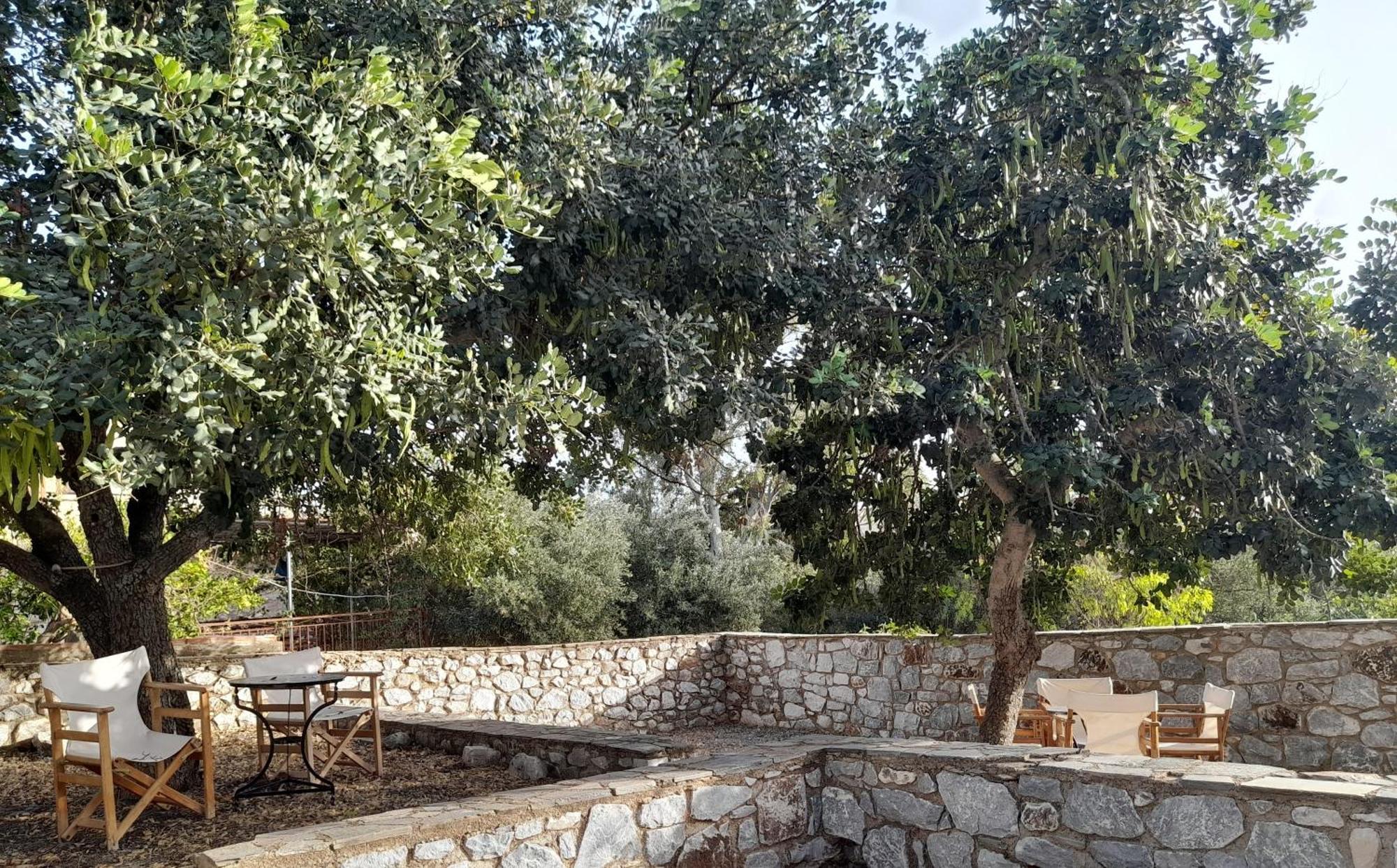 شقة The Two Carob Trees, Traditional Stonehouse, Nikandri, Pirgos Diros Lefkias المظهر الخارجي الصورة